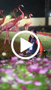 BIB:  <button type="button" onclick="openModal(27590958)" class="btn btn-primary btn-sm float-right" data-toggle="modal" data-target=".modal-high-quality">
                <i class="fa fa-download"></i> Download
                </button>